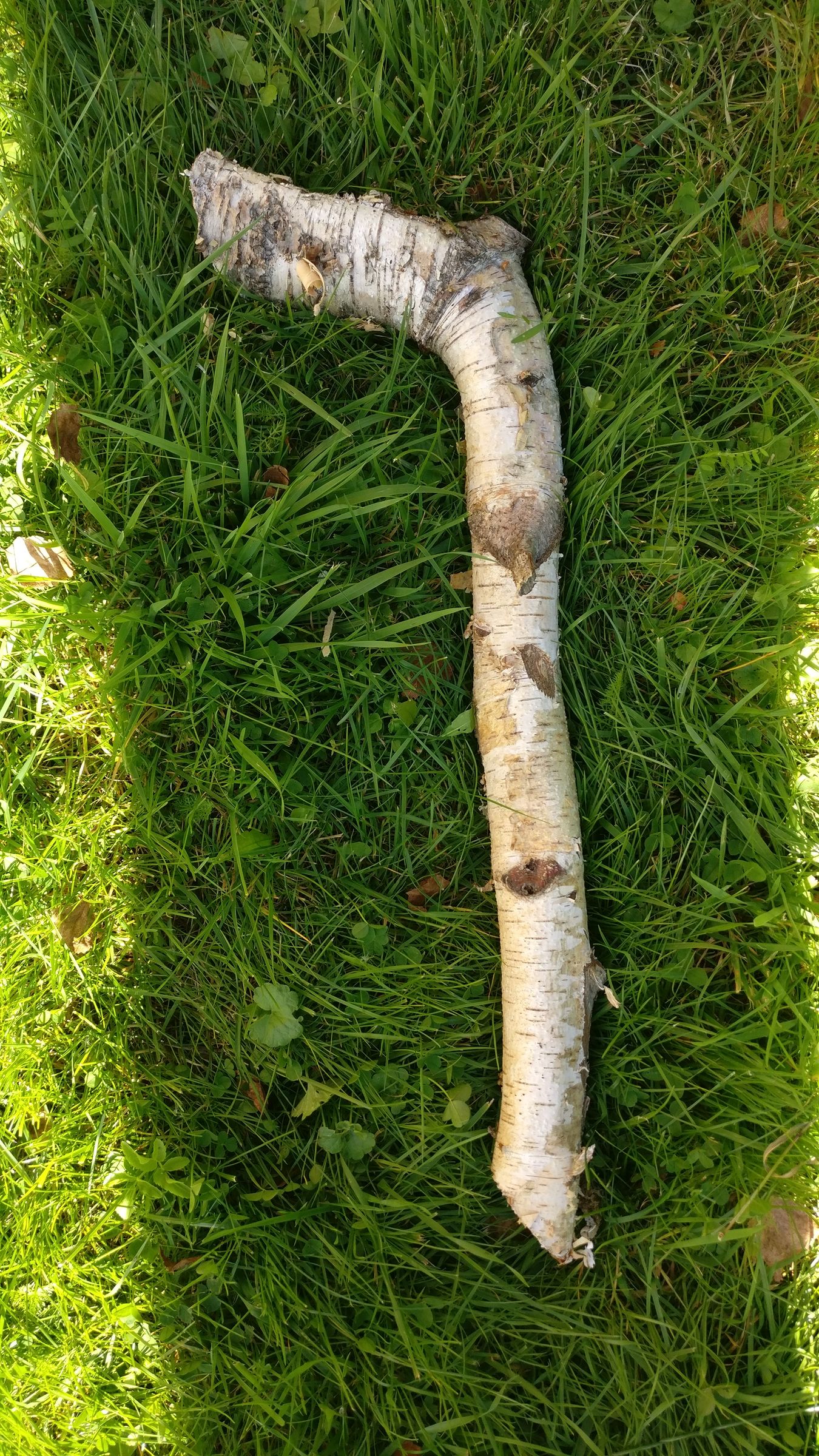 Carving a Wood Ladle 3 Steps (with Pictures) Instructables