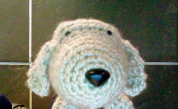 Boogie the Dog