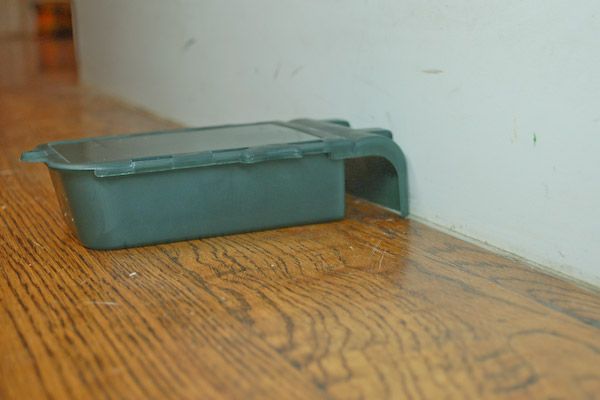 Humane Mouse Traps