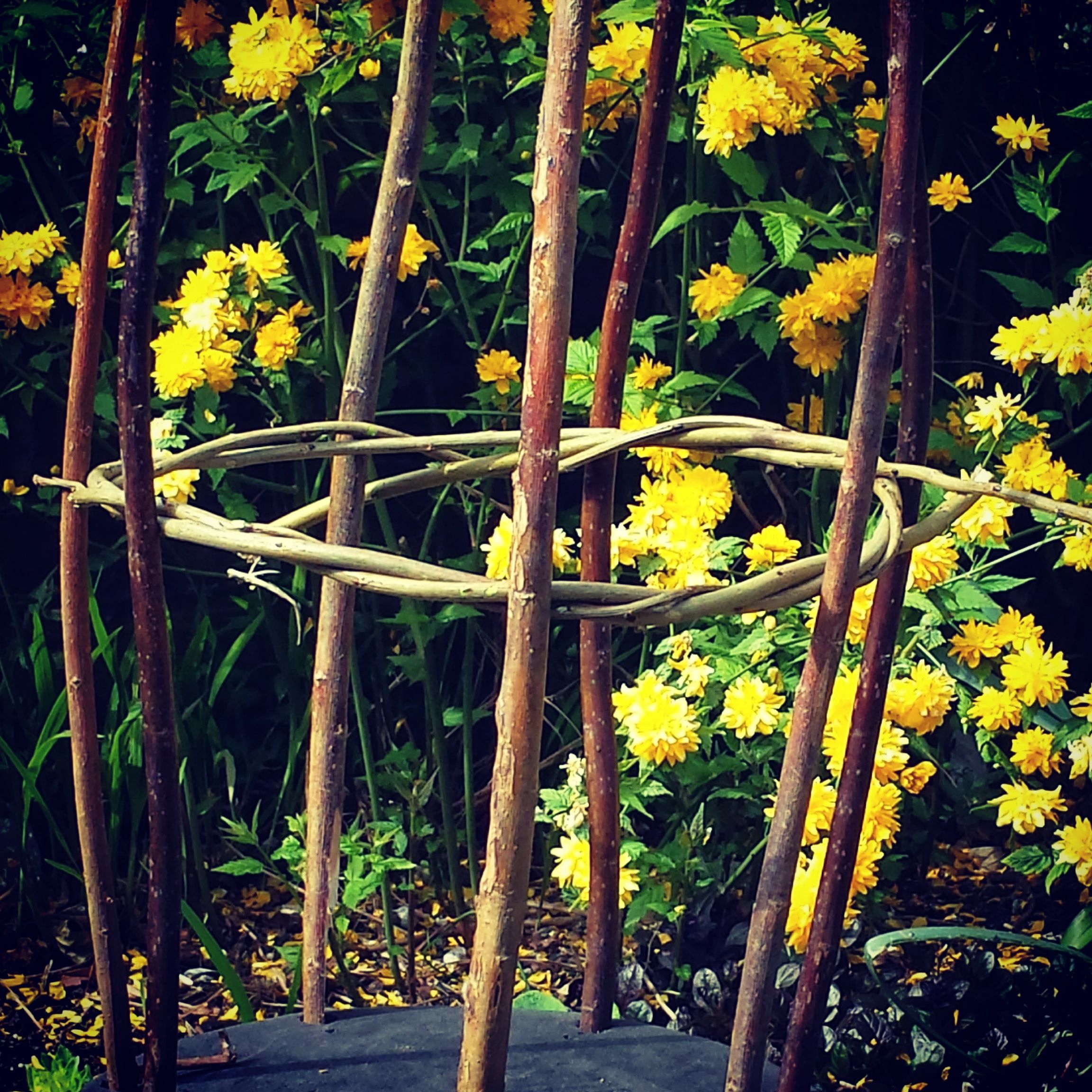 Willow Plant Support 9 Steps Instructables