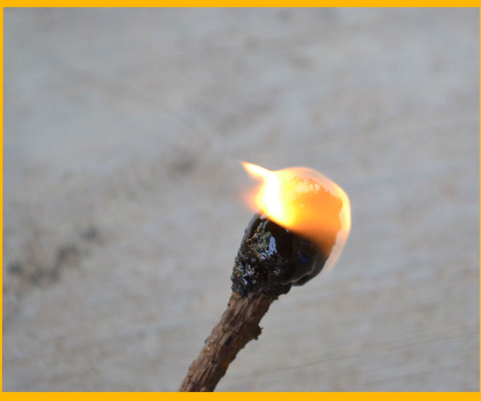 Survival Pine Tar: Pitchsticks, Fire Starter, Super Glue!!