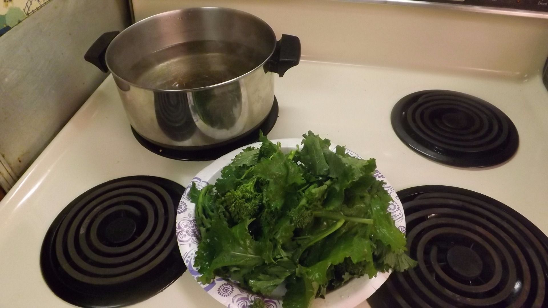 BROCCOLIRABE (RAPINI) COOKED IN OLIVE OIL WITH BLACK OLIVES, GARLIC