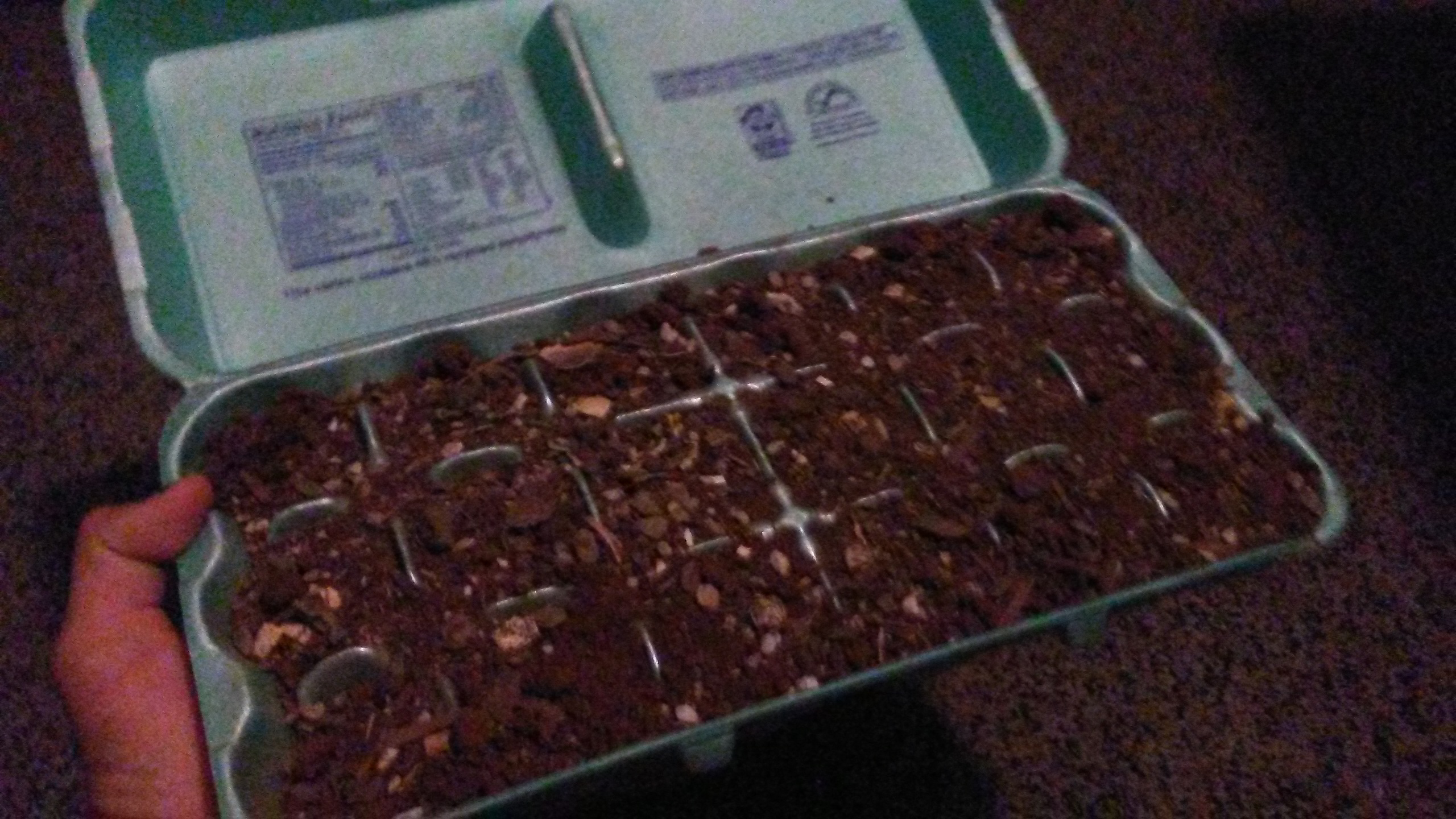 Egg Carton Garden Instructables