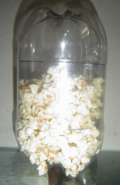 2L Bottle Multi-use Container