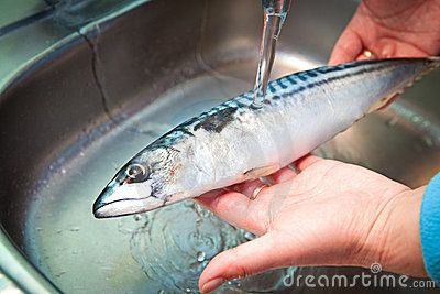 How to Preserve a Fish