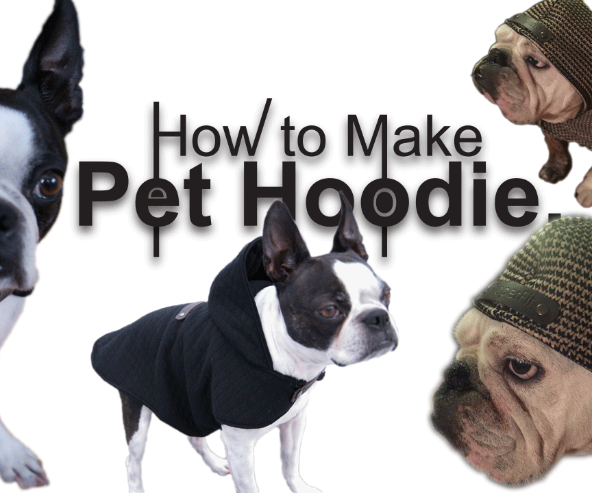 Easy DIY! Sew From Scratch - Pet Hoodie! 