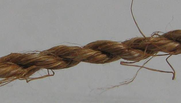 Make Rope Out of Dead Plants -- With No Tools : 7 Steps (with Pictures ...