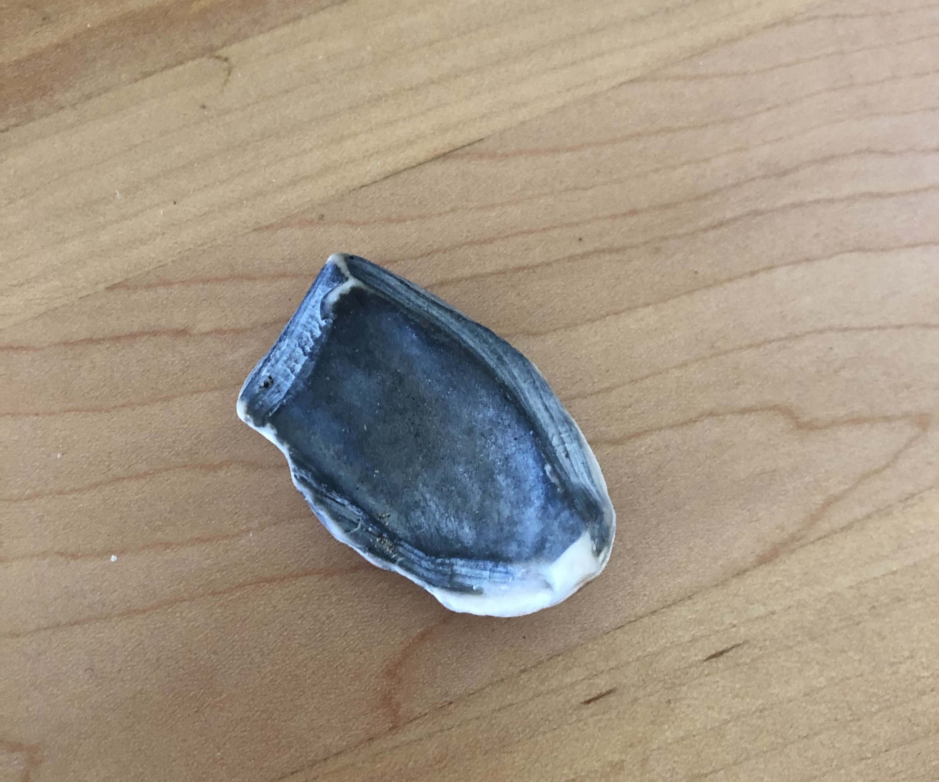 Object Scanning and (Attempts At) Reconstruction_Week7