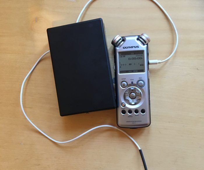 Electromagnetic Field Microphone