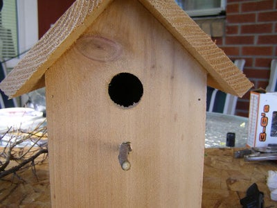Woodworking Plans For Bird Nesting Chandelier Makers Woodworking Plans For Bird Nesting Chandelier Makers