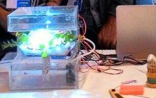 Adding I to the AquaDesk