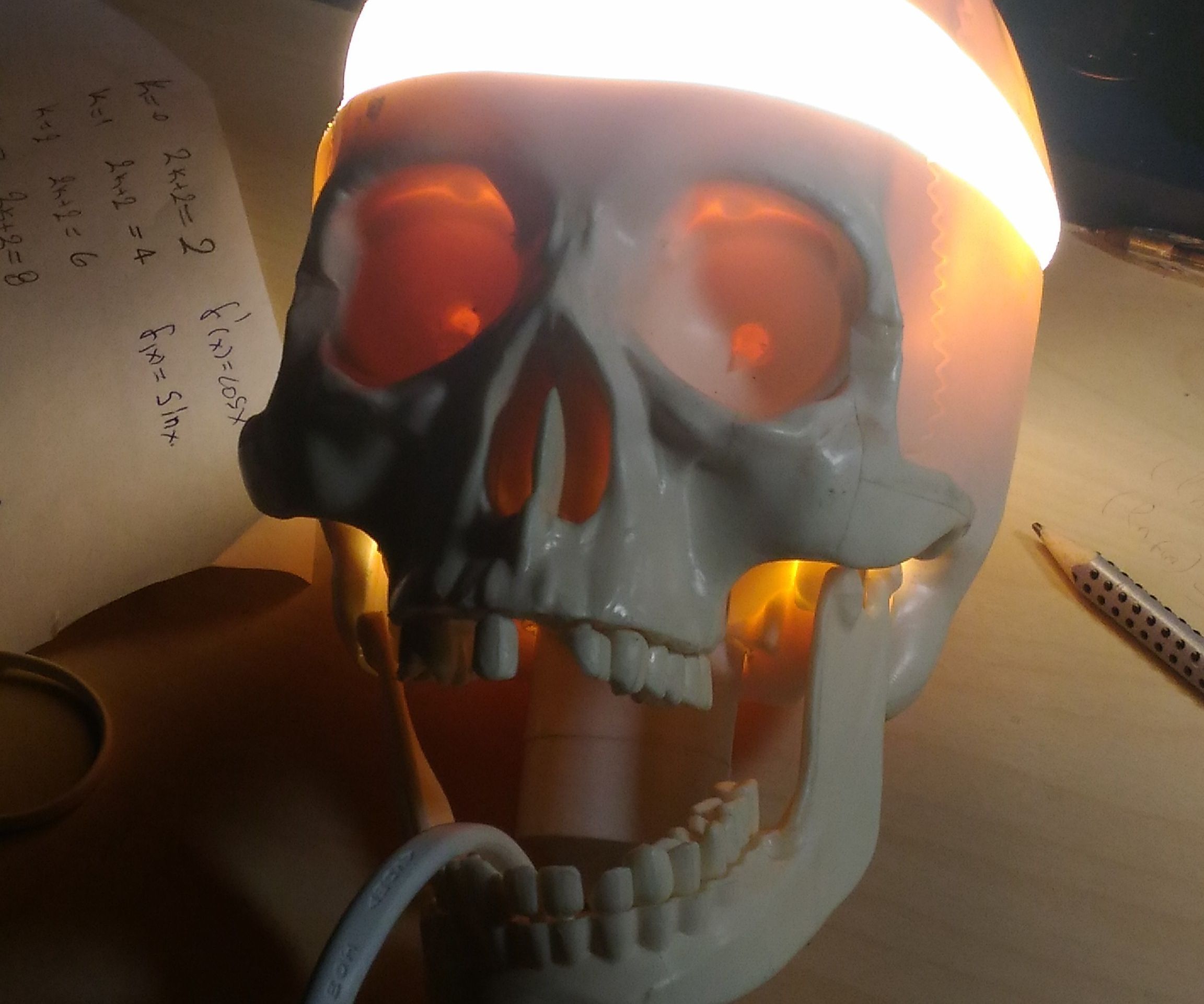 Skull Lamp!