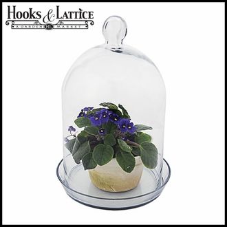 Glass Dome Terrarium Is a Must Have During Parties