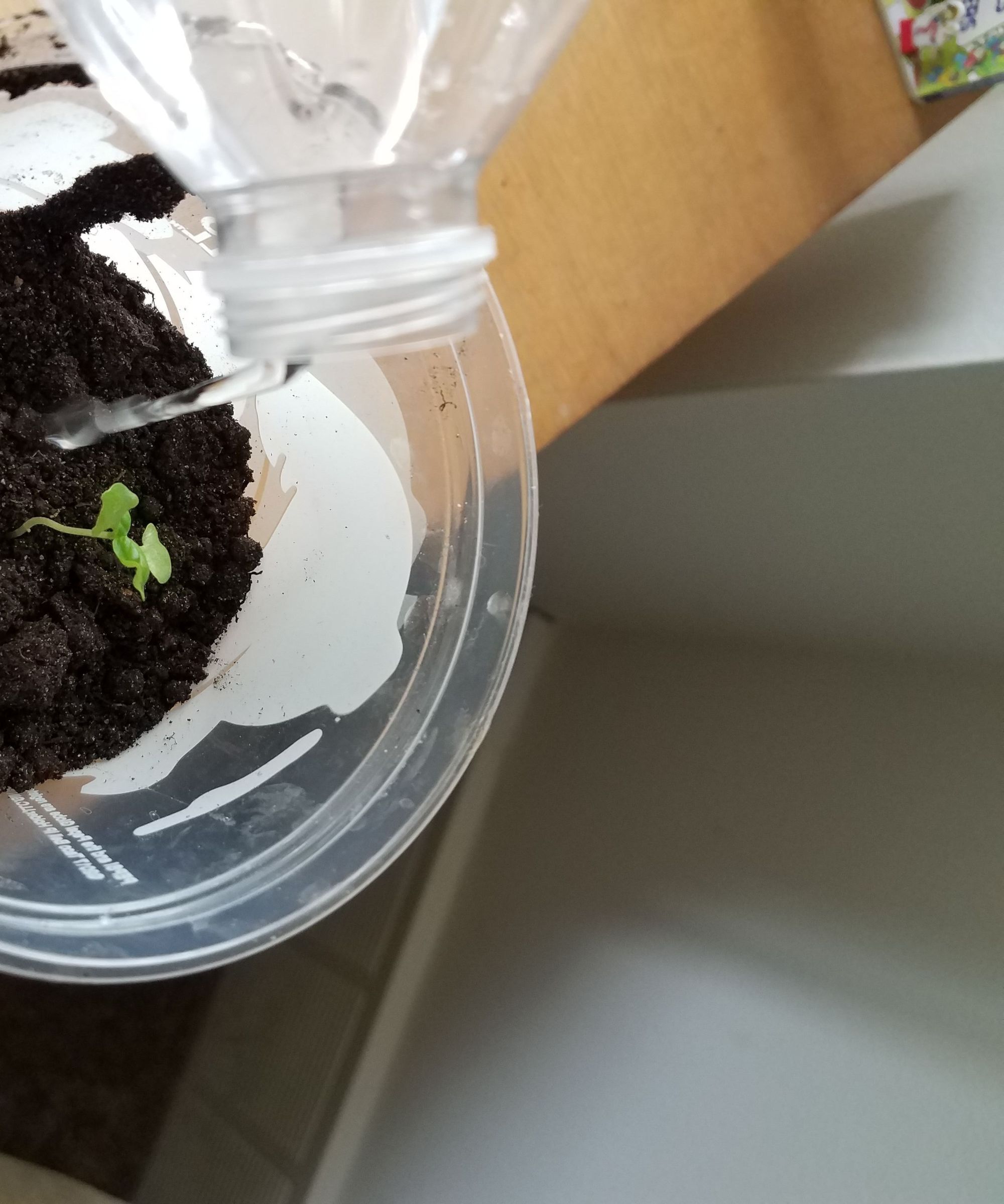 Take-out Cup Greenhouse