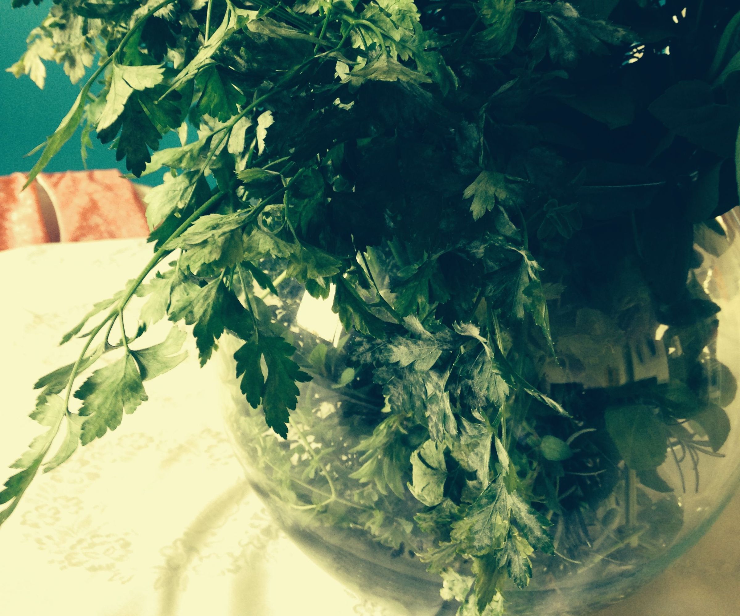 Homemade Pesto Sauce