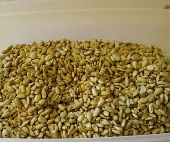 Sault and Roast Nuts/seeds in a  Microwave