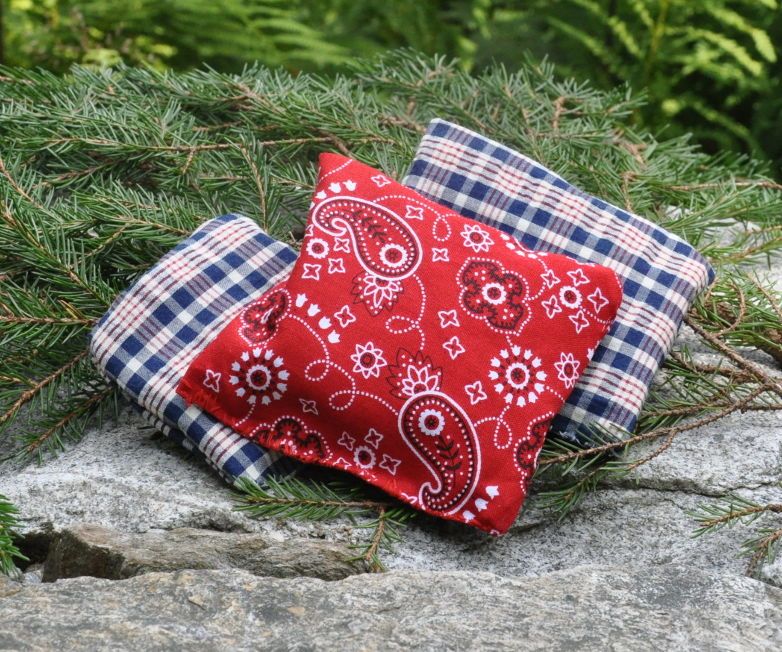 Vacation Memory Pillow