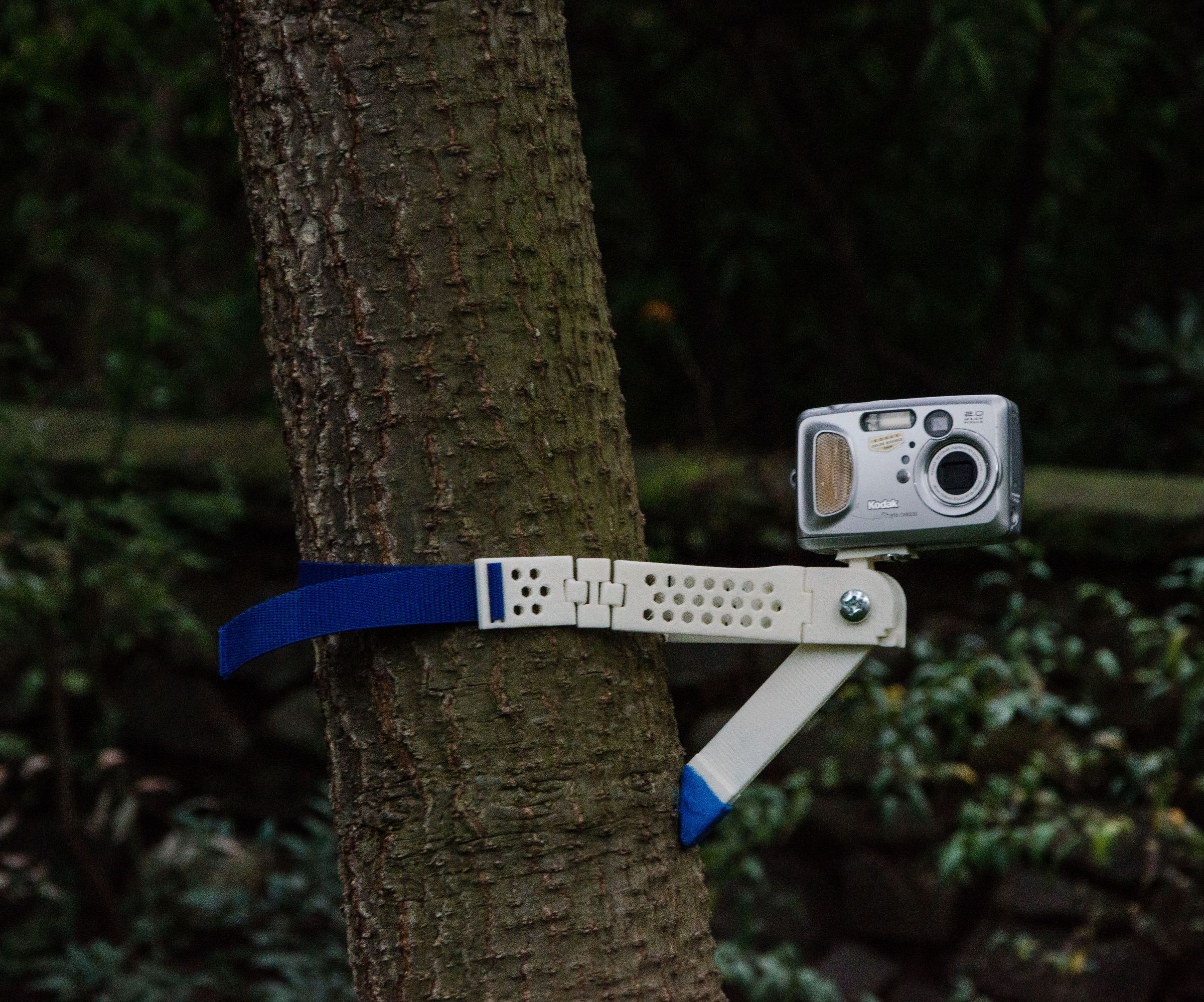 Koala Camera Mount
