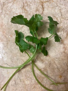 Papaya, Tomato & Cilantro Salad