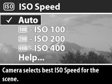 ISO Speed