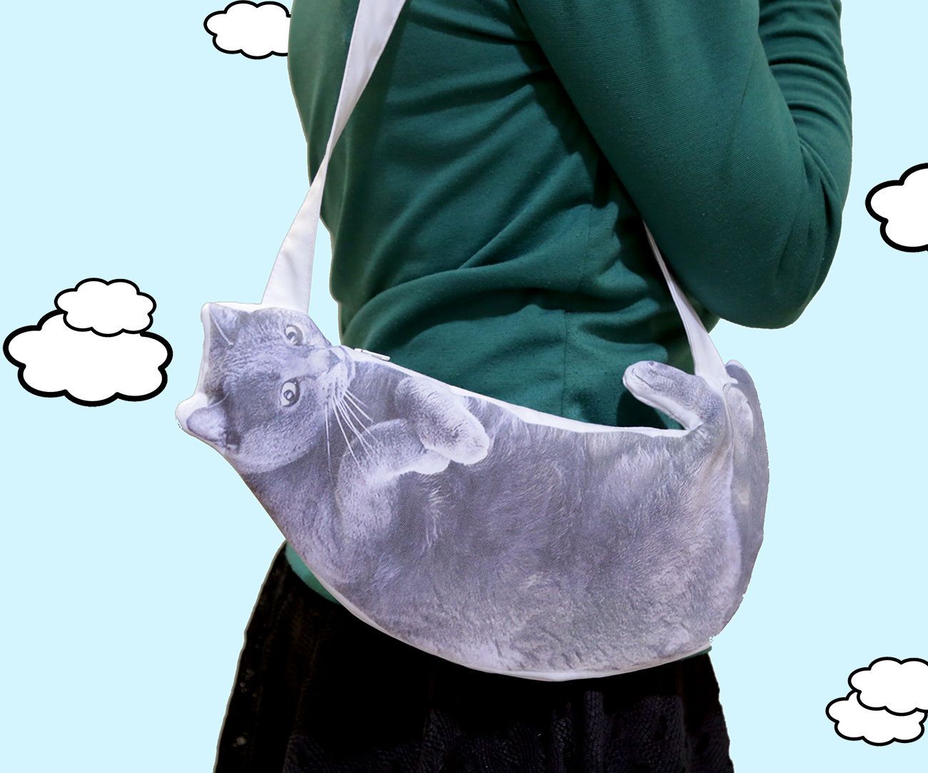 Handbag Made From Cat Picture