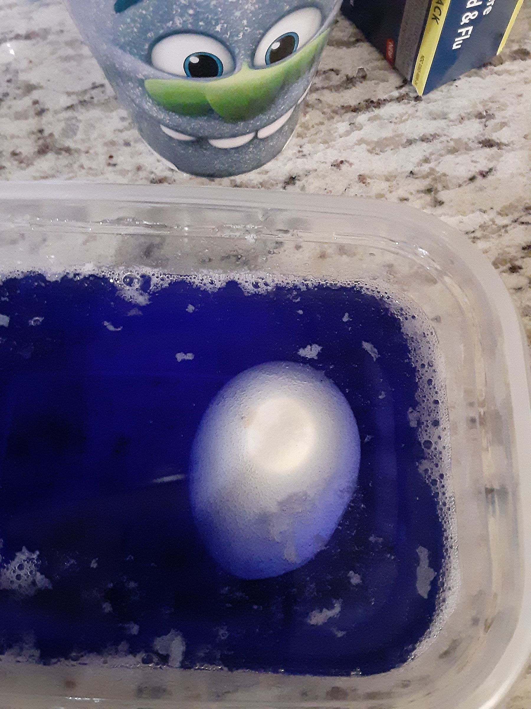 Egg in Vinegar 8 Steps Instructables