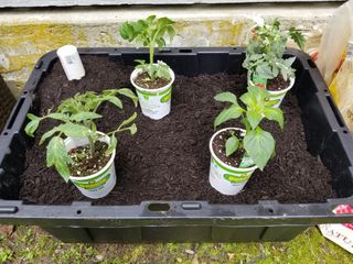 DIY Earth Box : 7 Steps (with Pictures) - Instructables