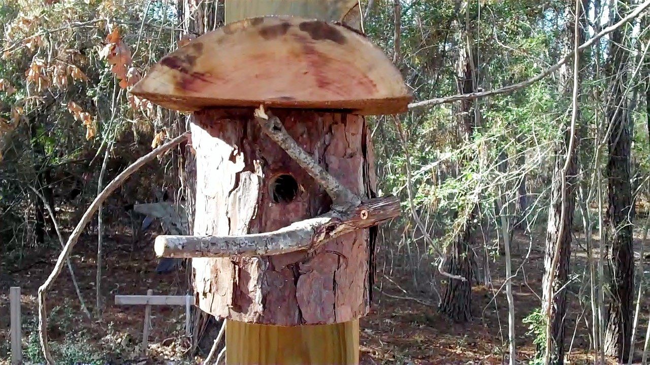 How to Make a Funky Bird House