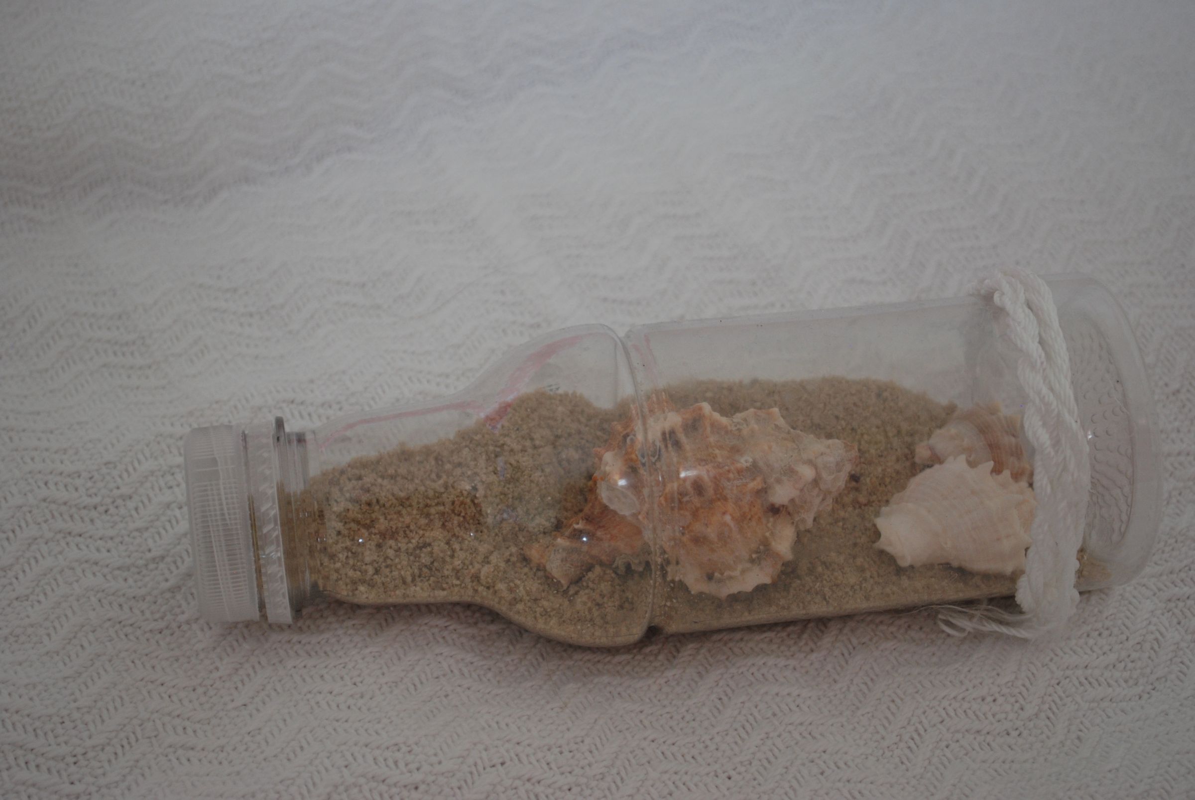Seashells in a Bottle - Instructables