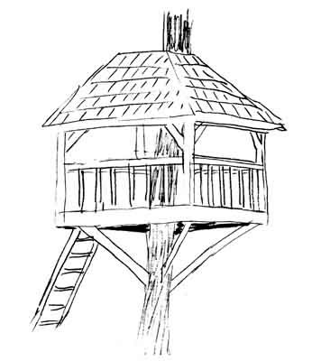 AWESOME TREEHOUSE