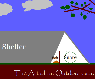 The Shelter Snare