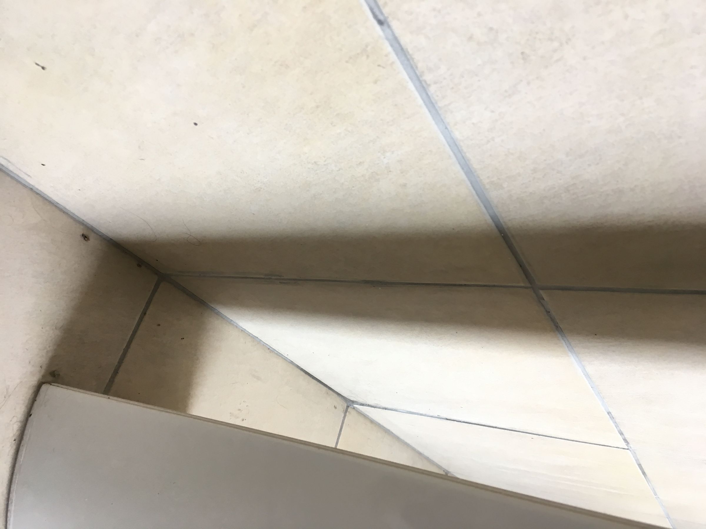 Best Place to Hide Toilet Paper in an Office Bathroom 5 Steps