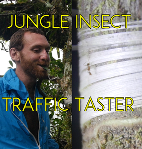 Fiber-Optic Jungle Insect Traffic Taster