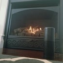 Alexa Activated Fireplace