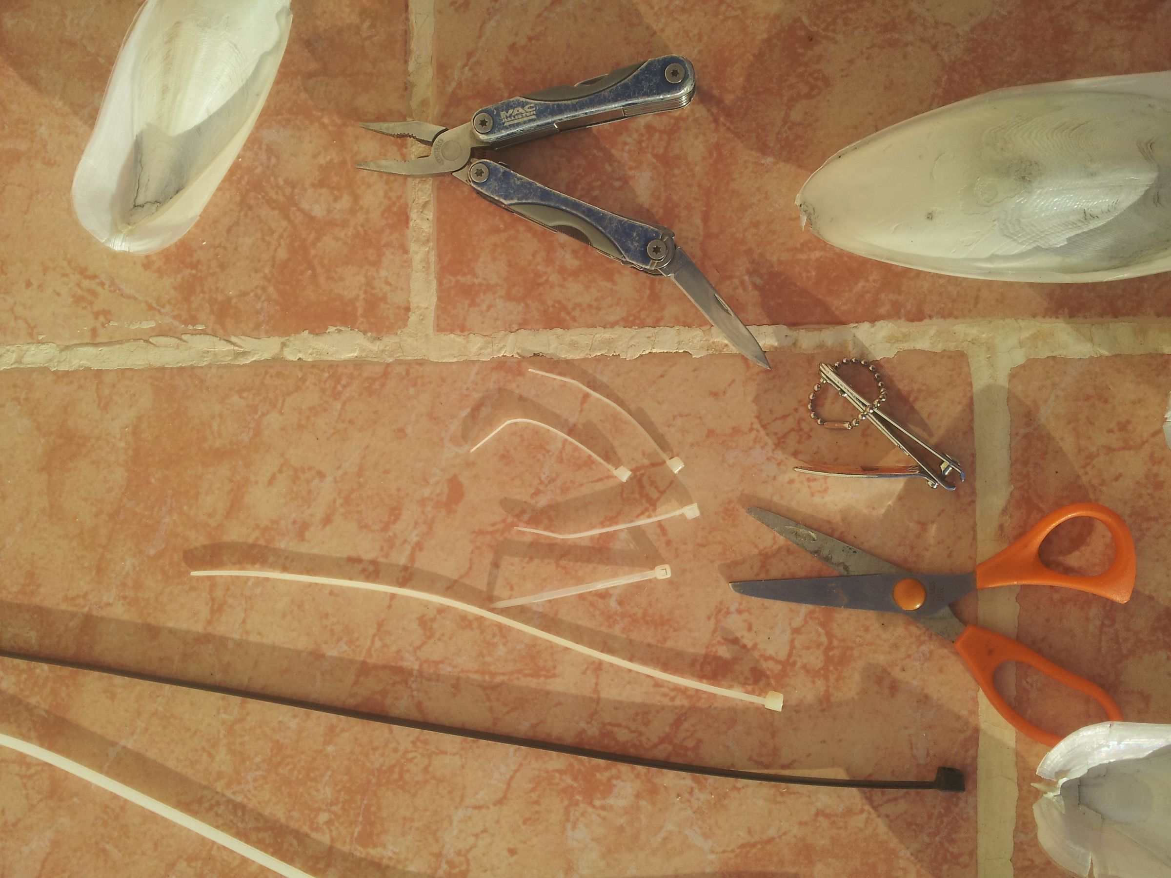 how to attach a cuttlebone to a bird cage iucnccsg