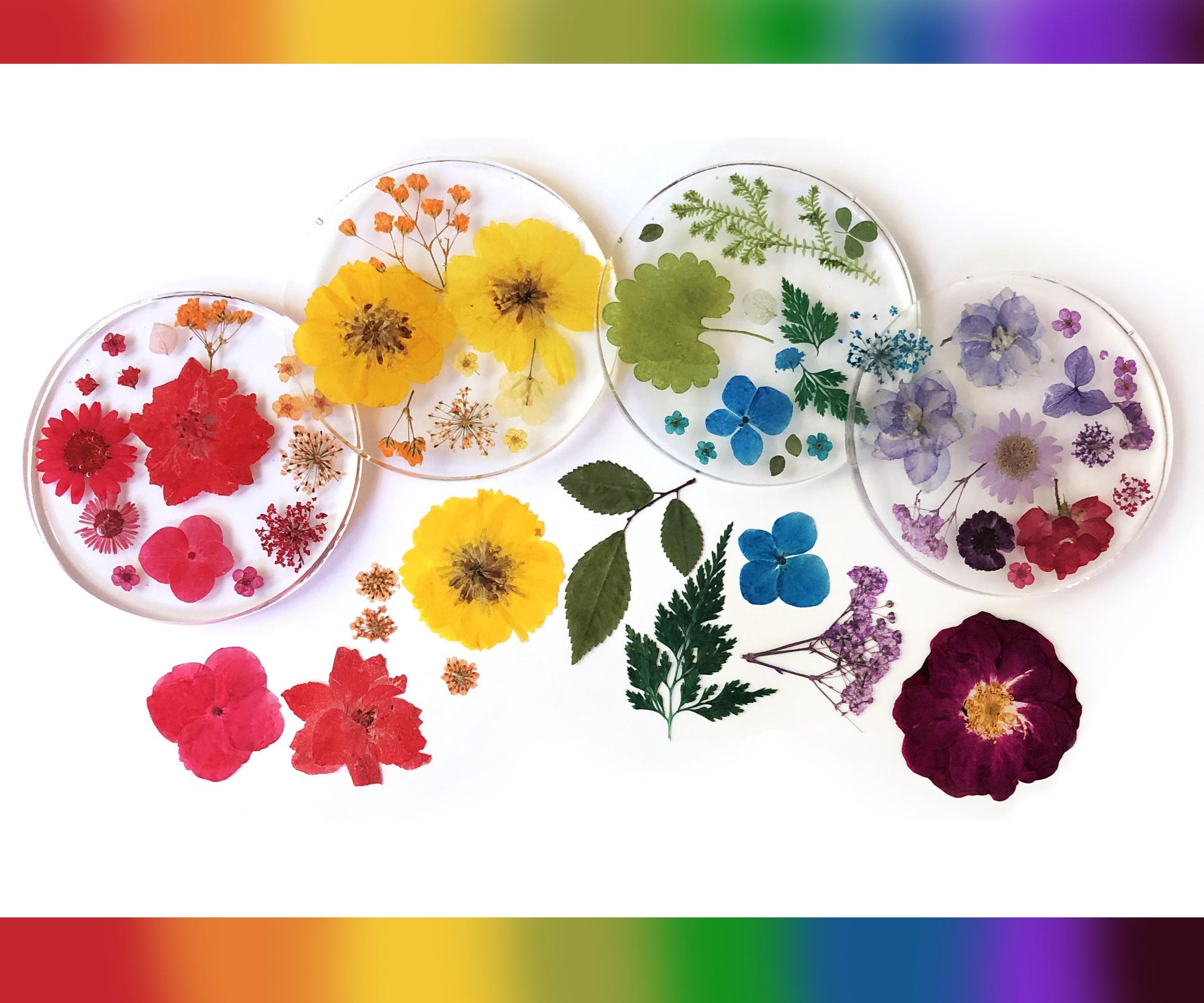 Ultimate Rainbow Dried Flowers & Resin Coaster Set