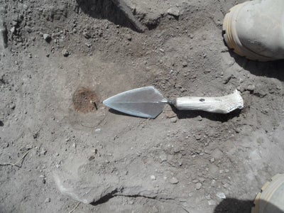 Antler Handle for Trowel