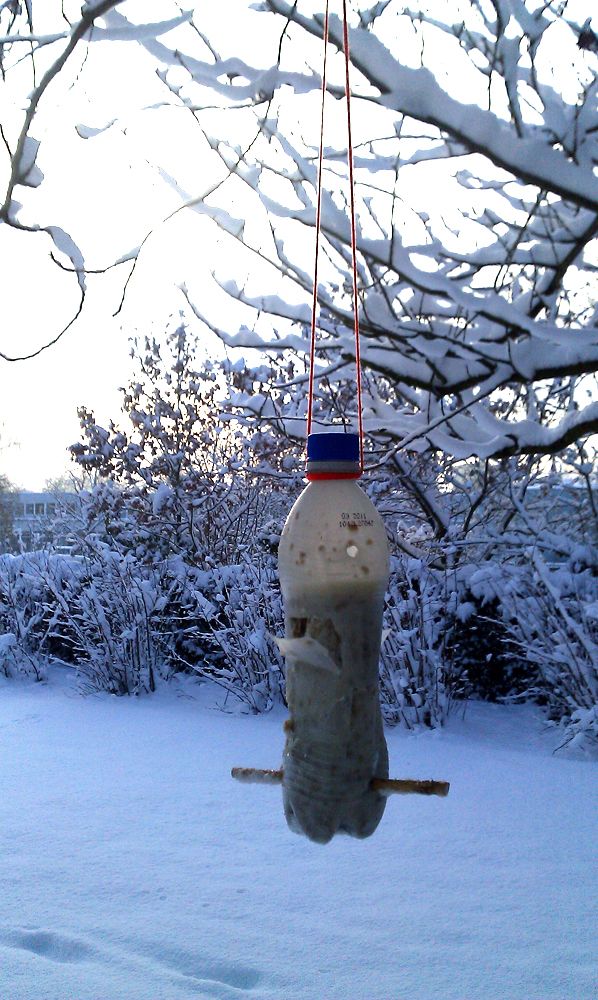 PET bottle bird feeder