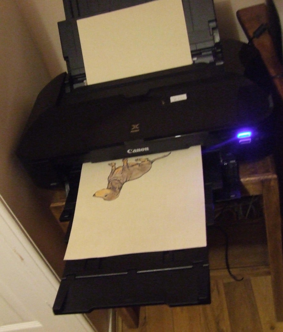 Feed Into Printer