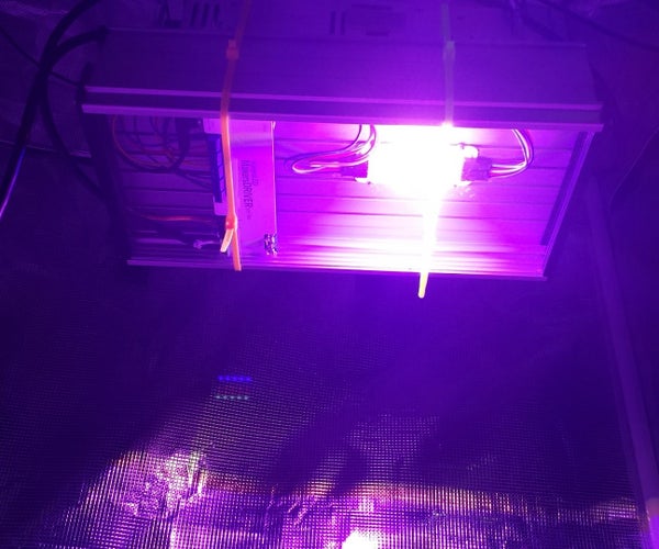 Lumia 5.2 Grow LED - Plants