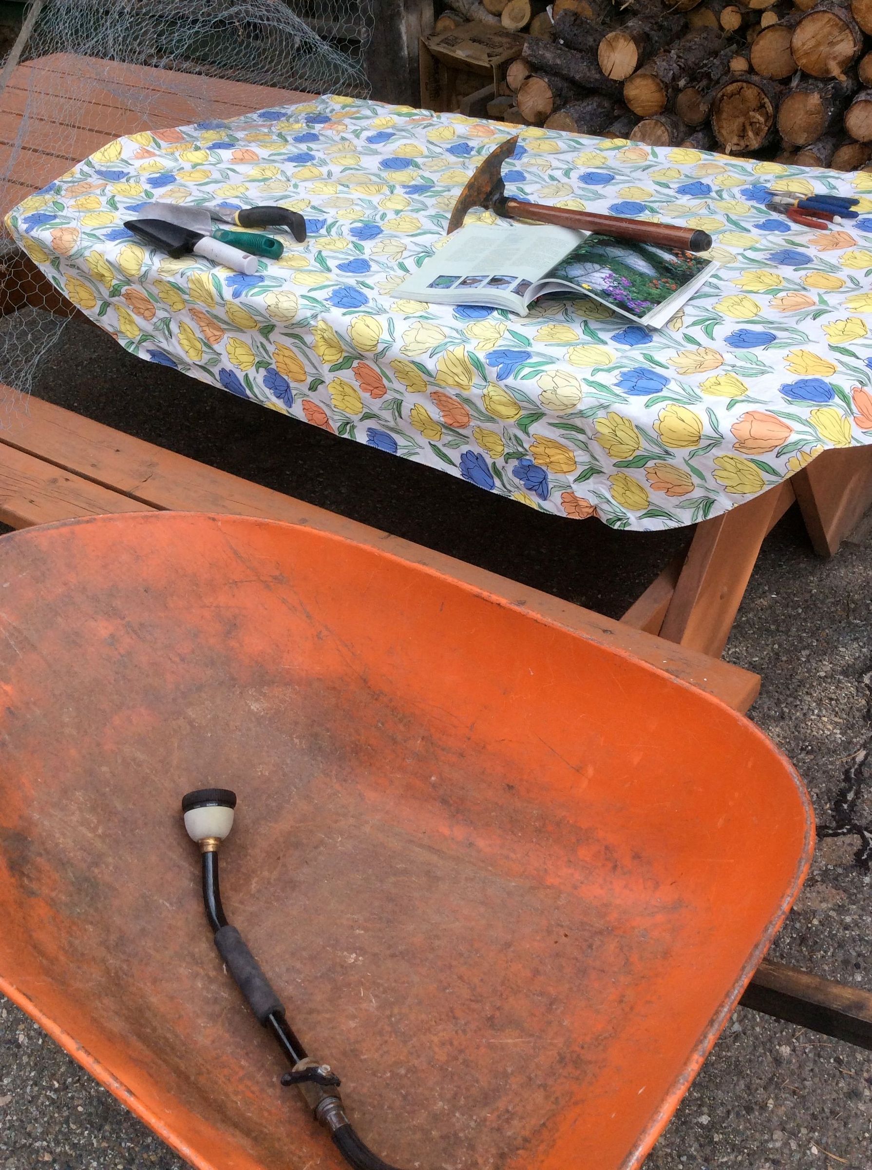 Rhubarb Leaf Stepping Stones 3 Steps (with Pictures) Instructables