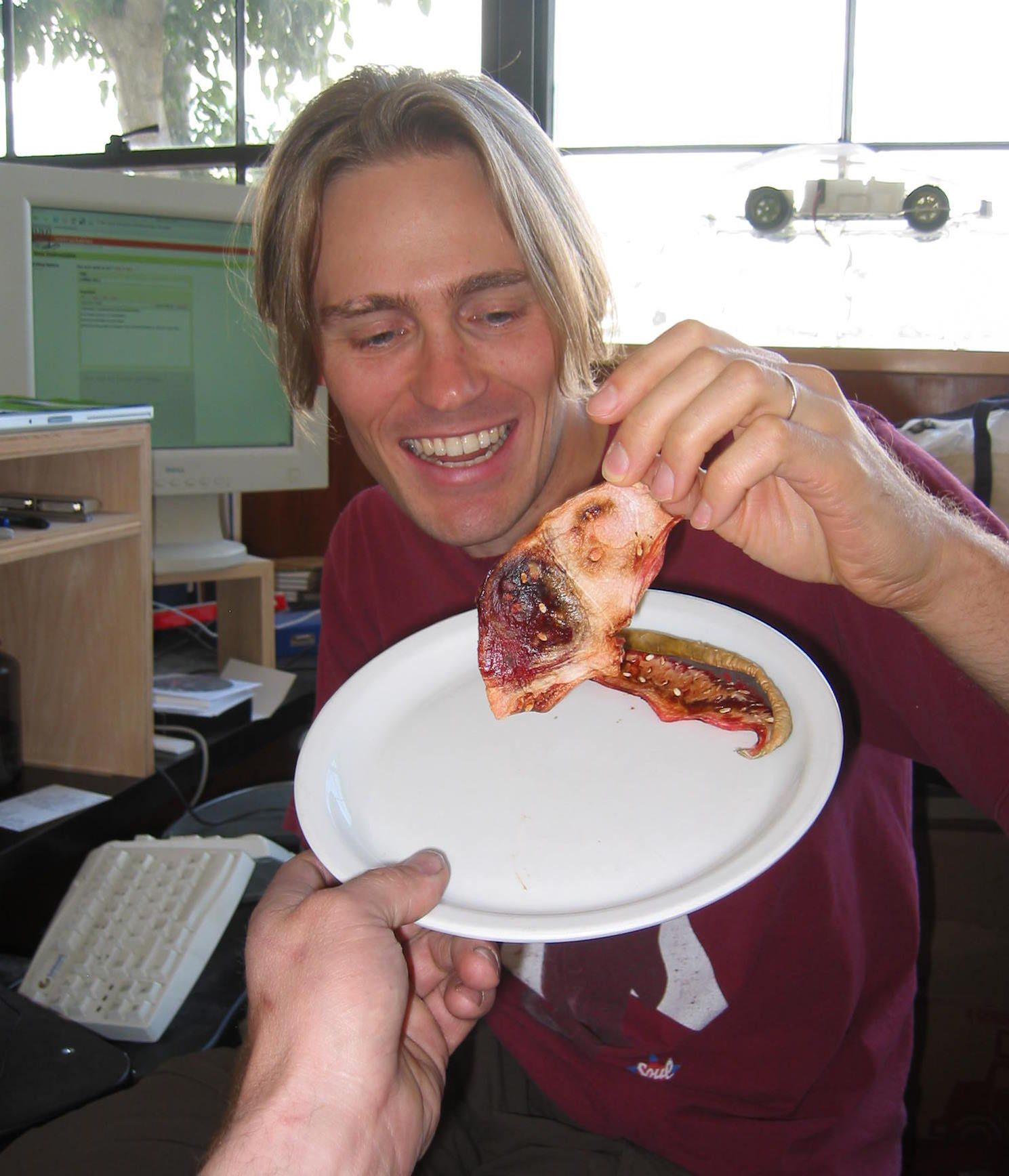 Sun Dried Watermelon Instructables