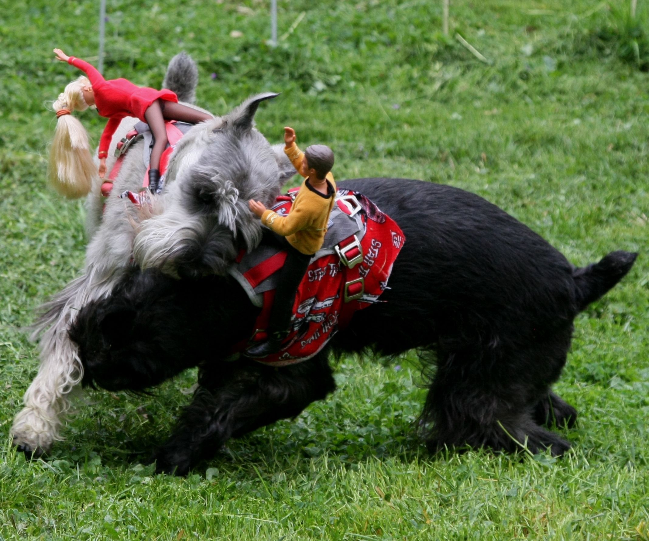 Ride 'em Cowboy Dog Costumes