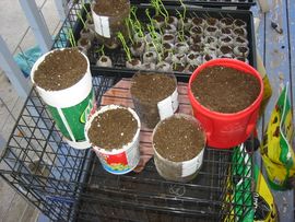 Making Your Own Home Garden Containers From Plastic Bottles : 4 Steps -  Instructables