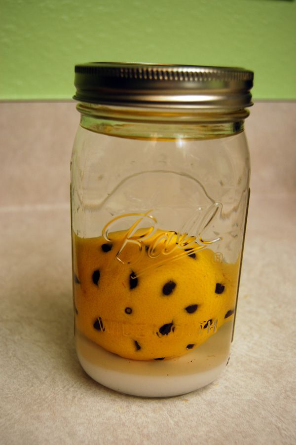 44 Orange Liqueur Recipe