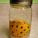 44 Orange Liqueur Recipe