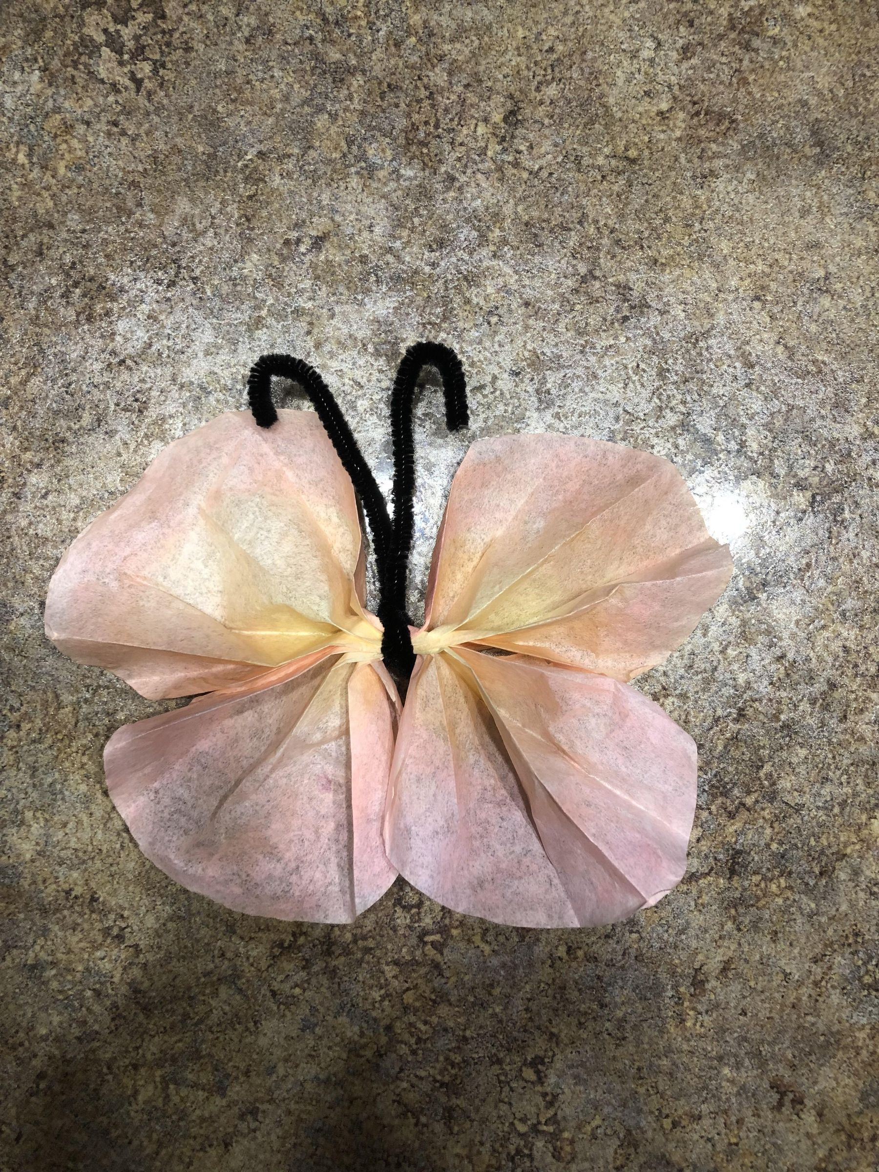 Coffee Filter Butterfly 4 Steps (with Pictures) Instructables