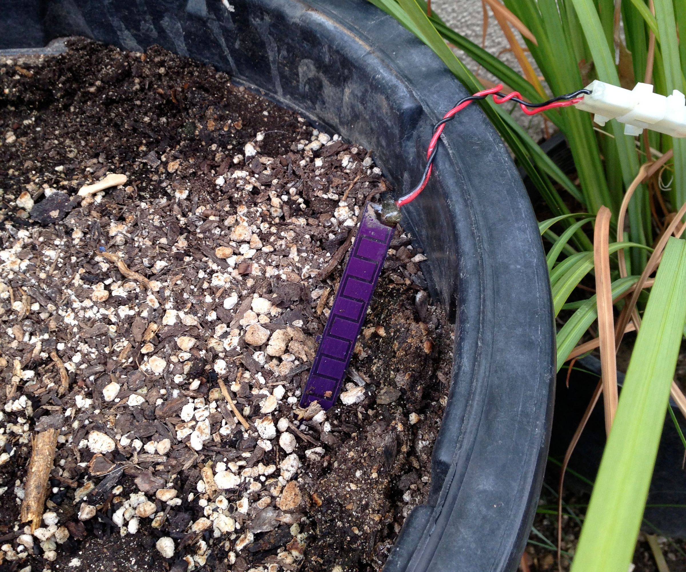 Raspberry Pi Soil Moisture Sensor