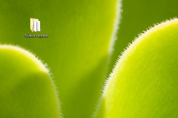 How to Create a Comic or Cartoon With Your Photos?