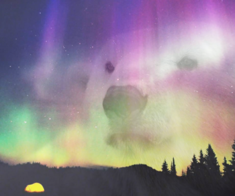 Super Quick, Super Easy Forum Signature